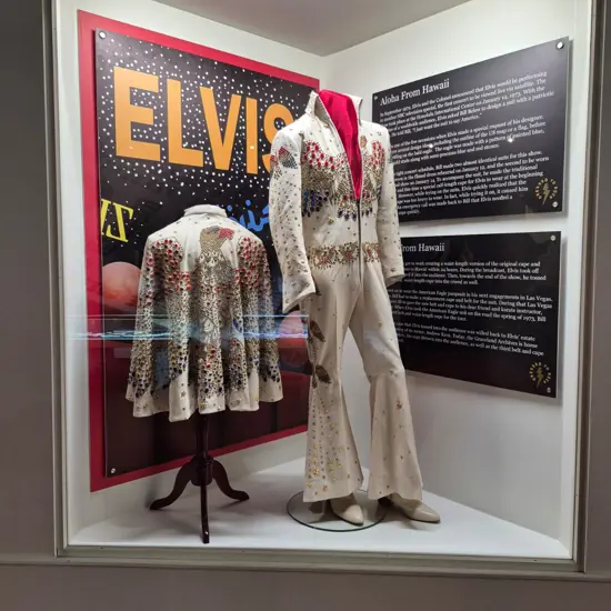 TS_HNUTN_Elvis_Costumes.jpg
